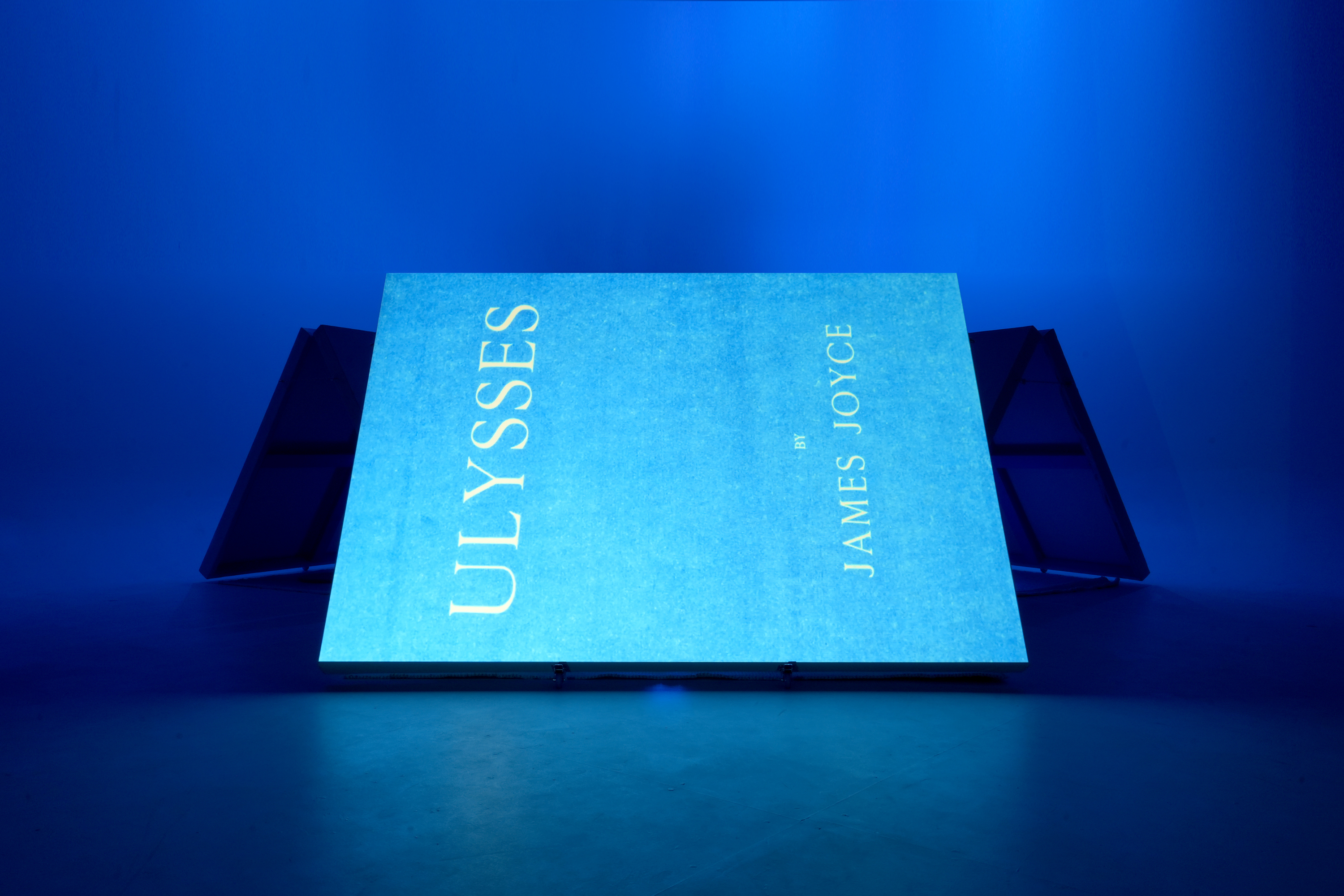 "The heaventree of stars hung with humid nightblue fruit.” James Joyce, Ulysses (1922)