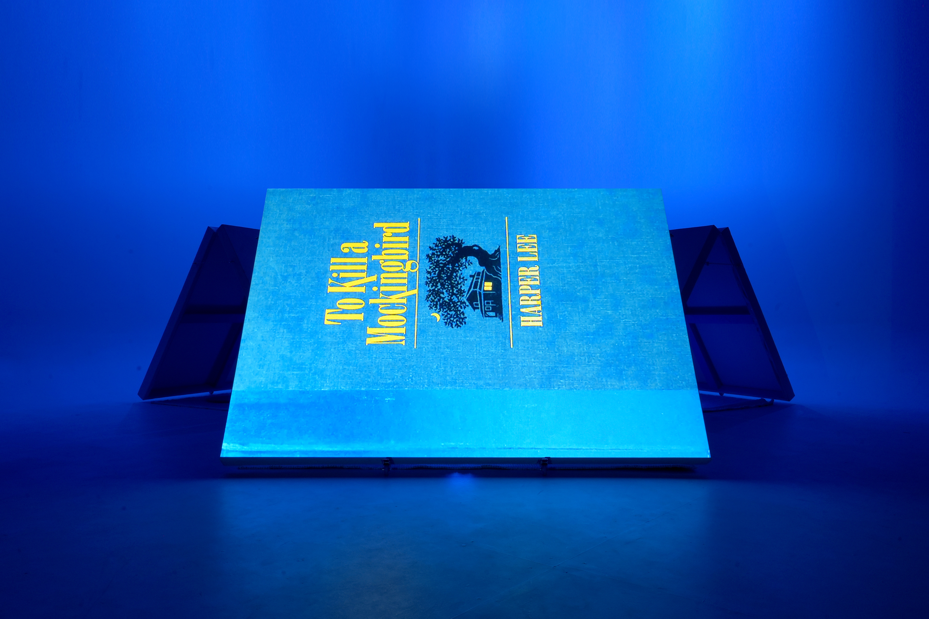 “You never really understand a person until you consider things from his point of view... Until you climb inside of his skin and walk around in it.” - Harper Lee, To Kill a Mockingbird (1960)