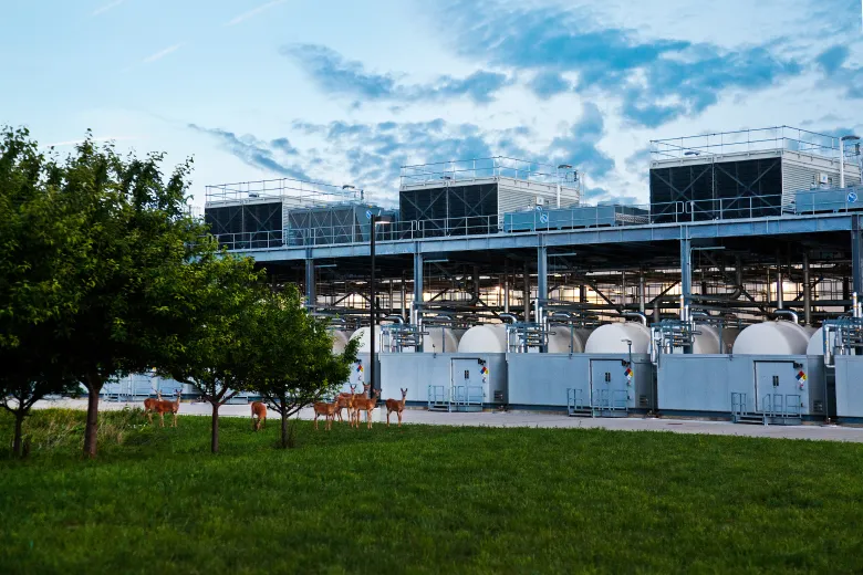 Yes, this the actual data center in Council Bluffs. Note the deers!
