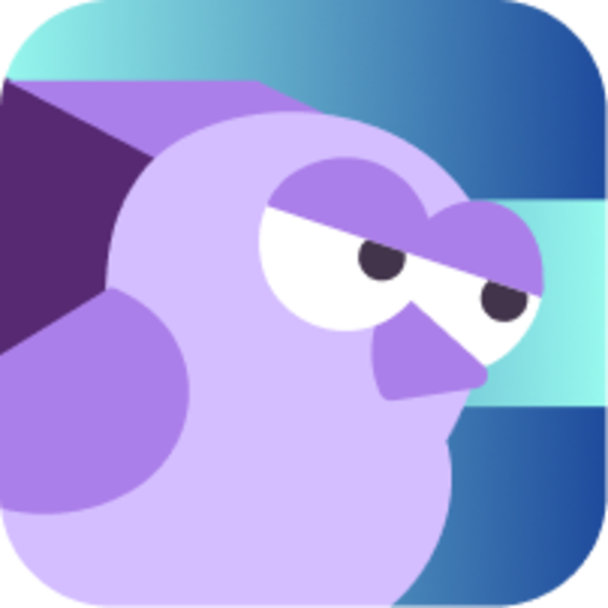 Synctrack Returns