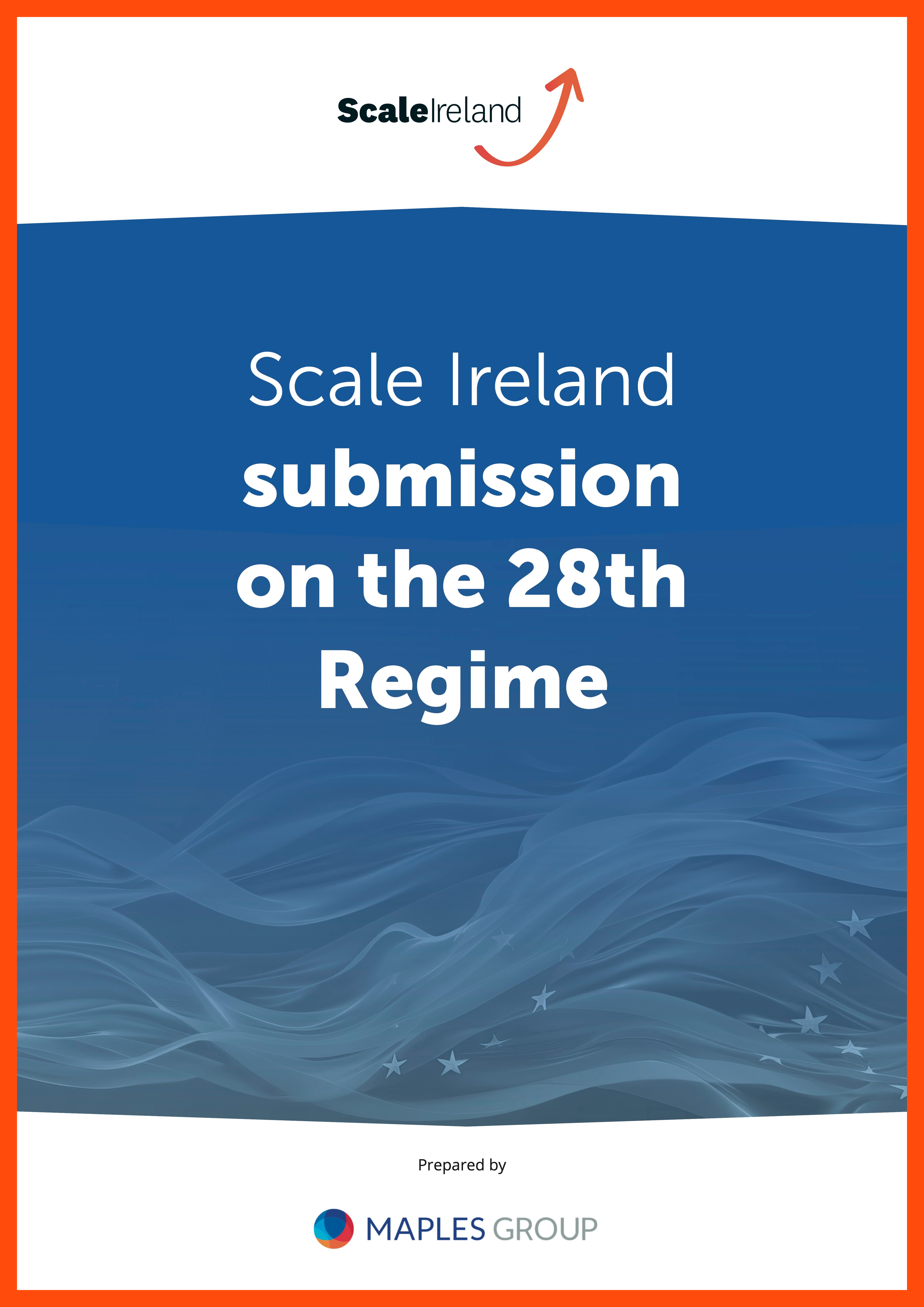 Scale Ireland submission on the 28th Regime