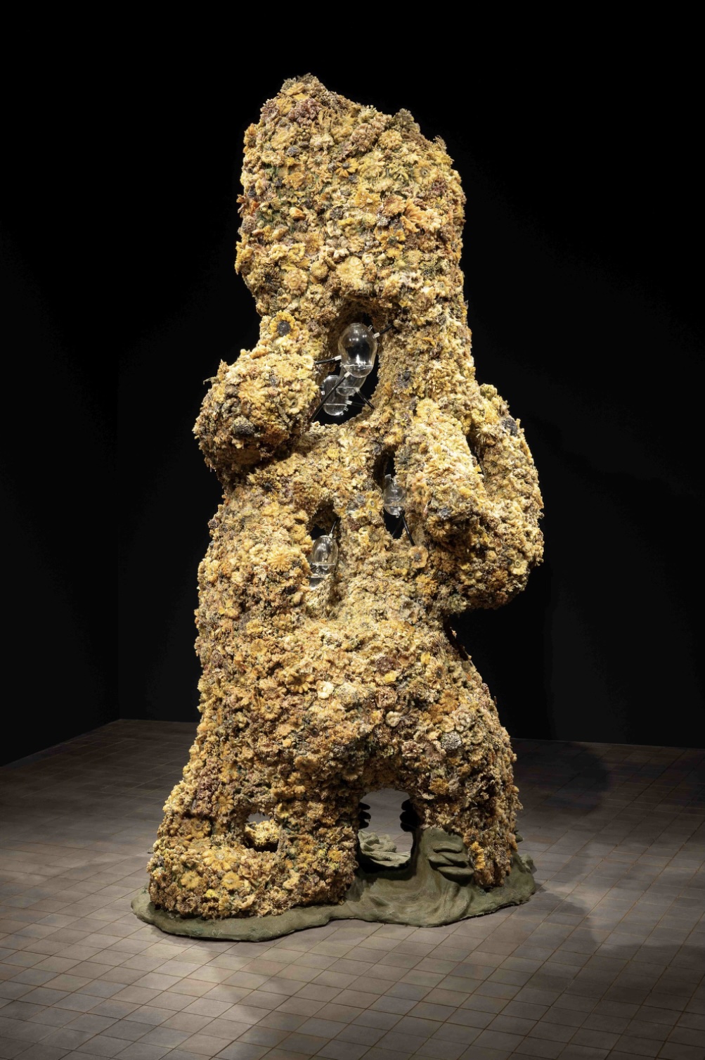 Large Sculpture in a dark room. Object is made of deep fried flowers, glass orbs, and tubing. 
