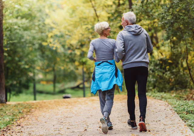 Your Arteries Are Not Pipes: The Science of Nitric Oxide and Healthy Blood Flow