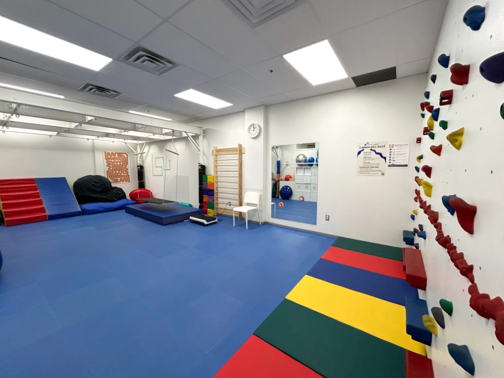 On The Ball Kanata doctor room