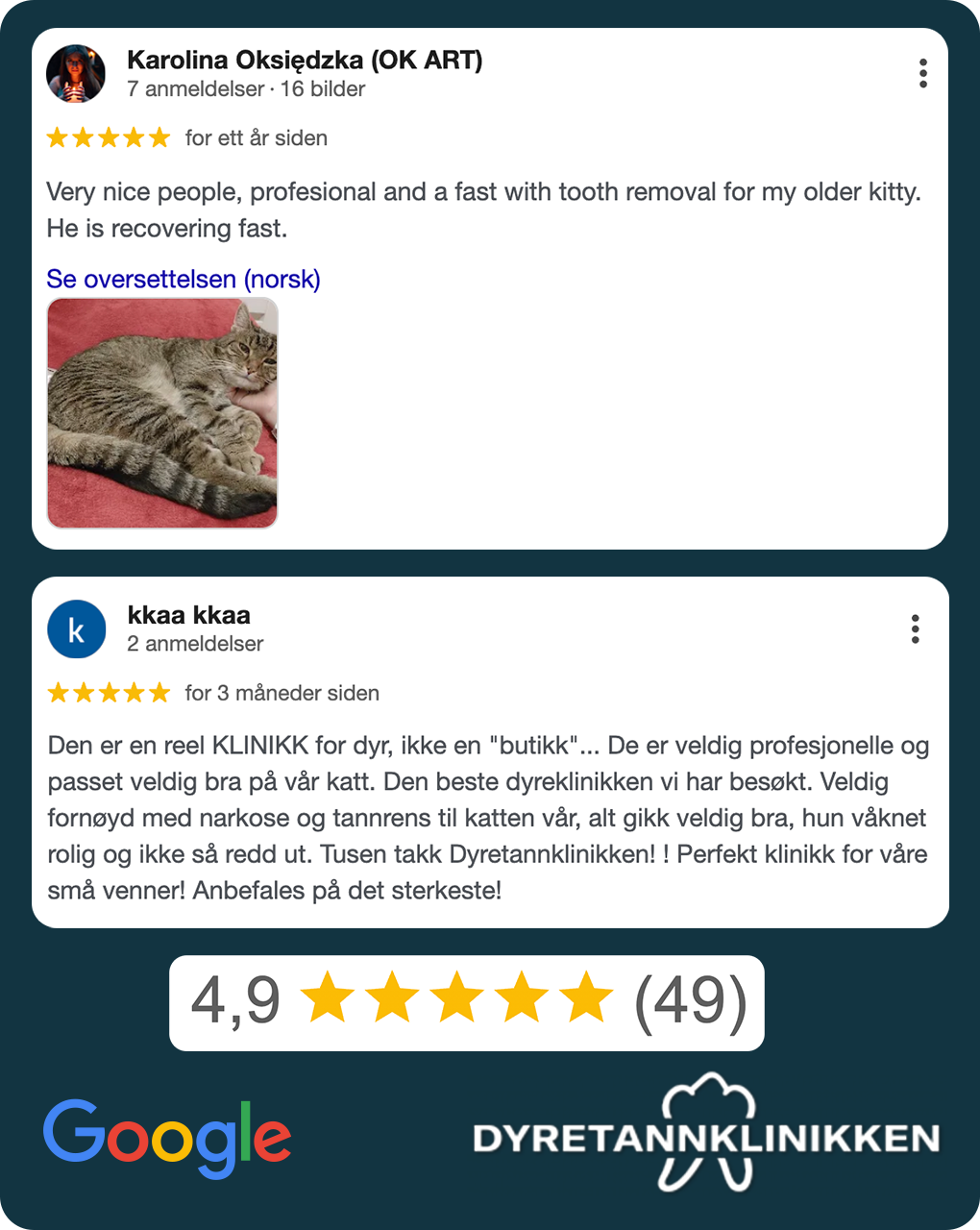 Skjermbilde av to Google-anmeldelser for Dyretannklinikken – fornøyde eiere roser klinikken for profesjonell tannbehandling. 