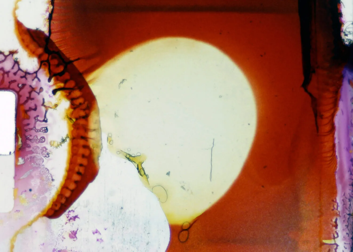 FRUE~Night on the Planet~ フライヤー