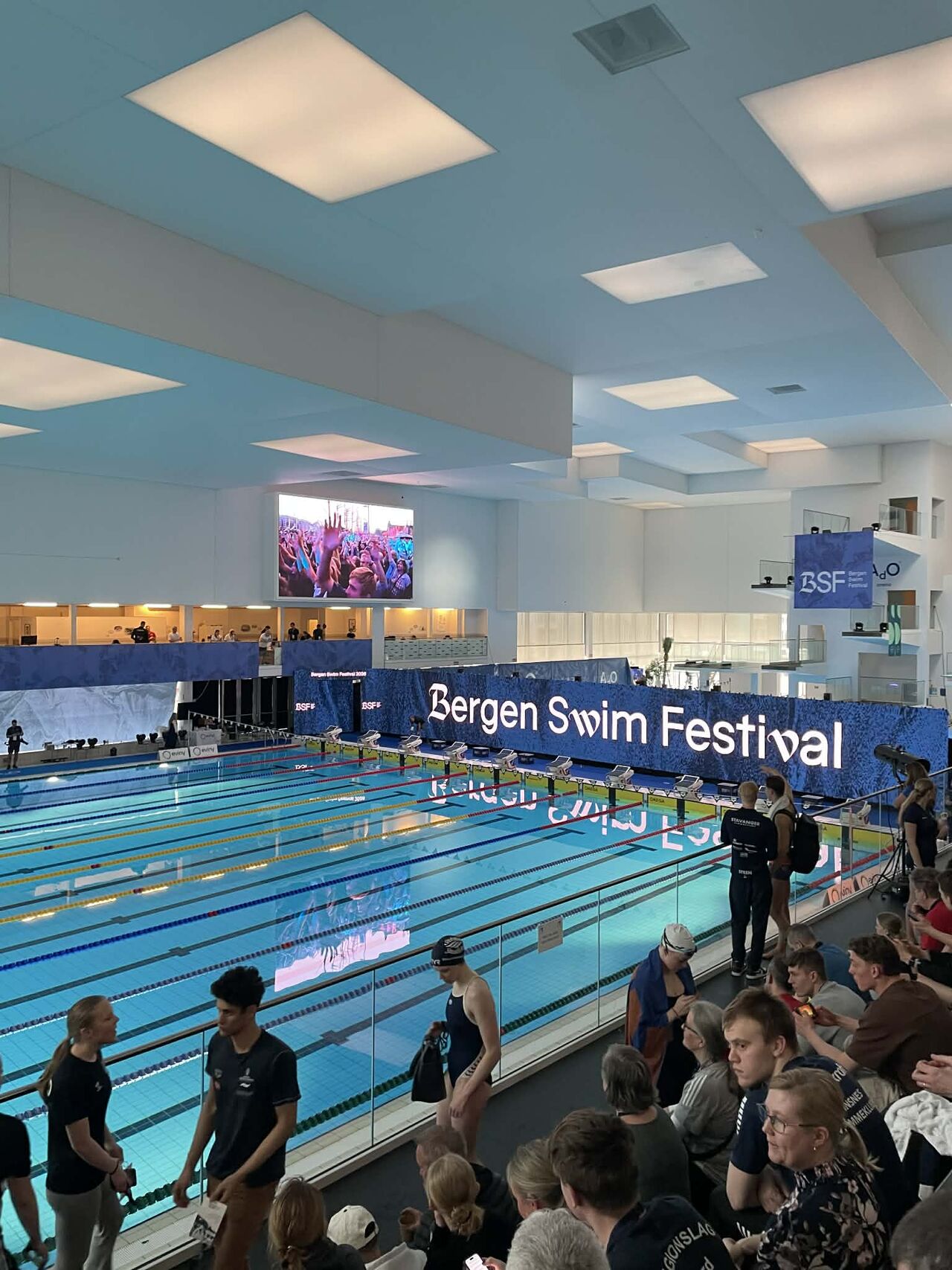Bergen Swim Festival