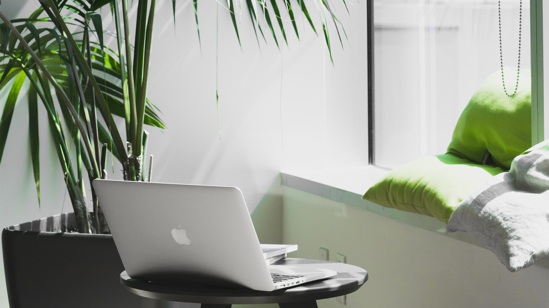 Open mac book on a table in a white room with green accents and a large green plant 