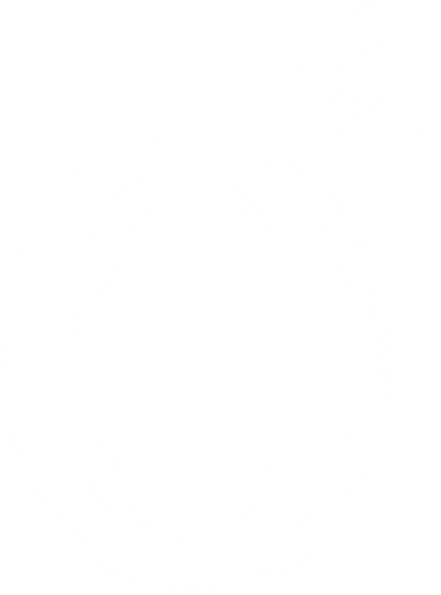 Olusegun Logo