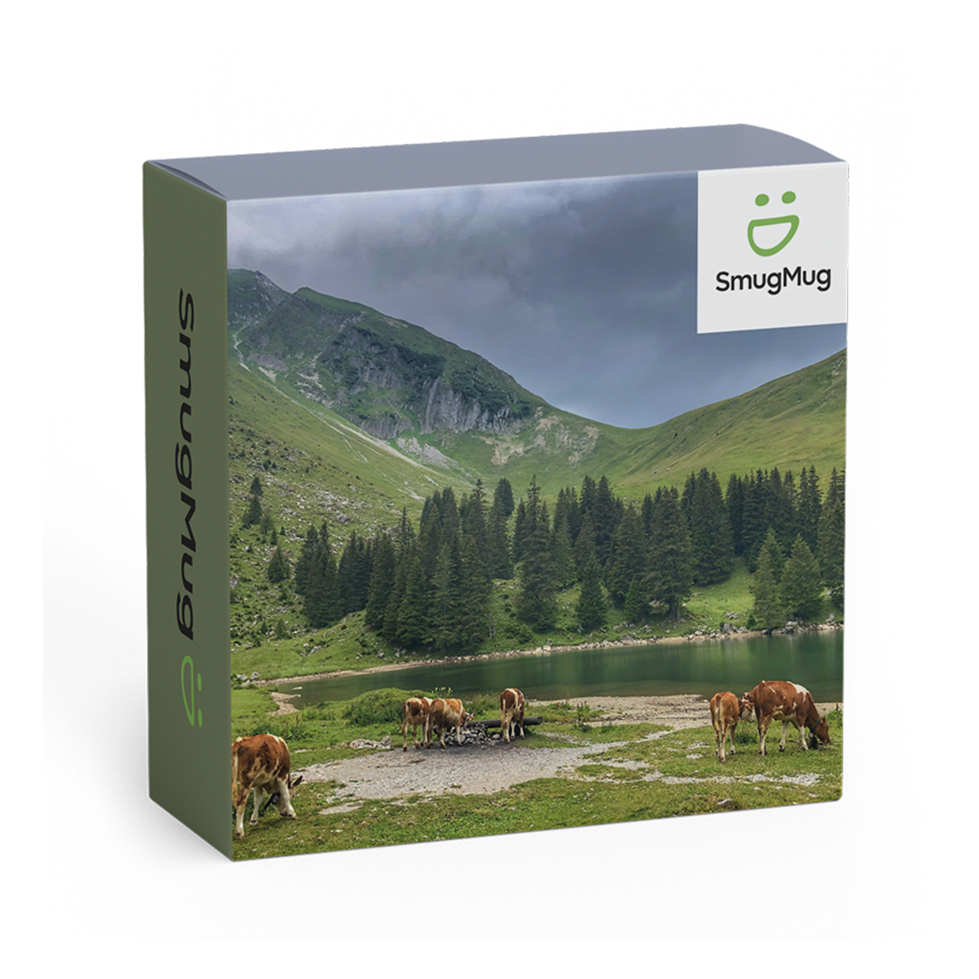 SmugMug Annual Pro Plan