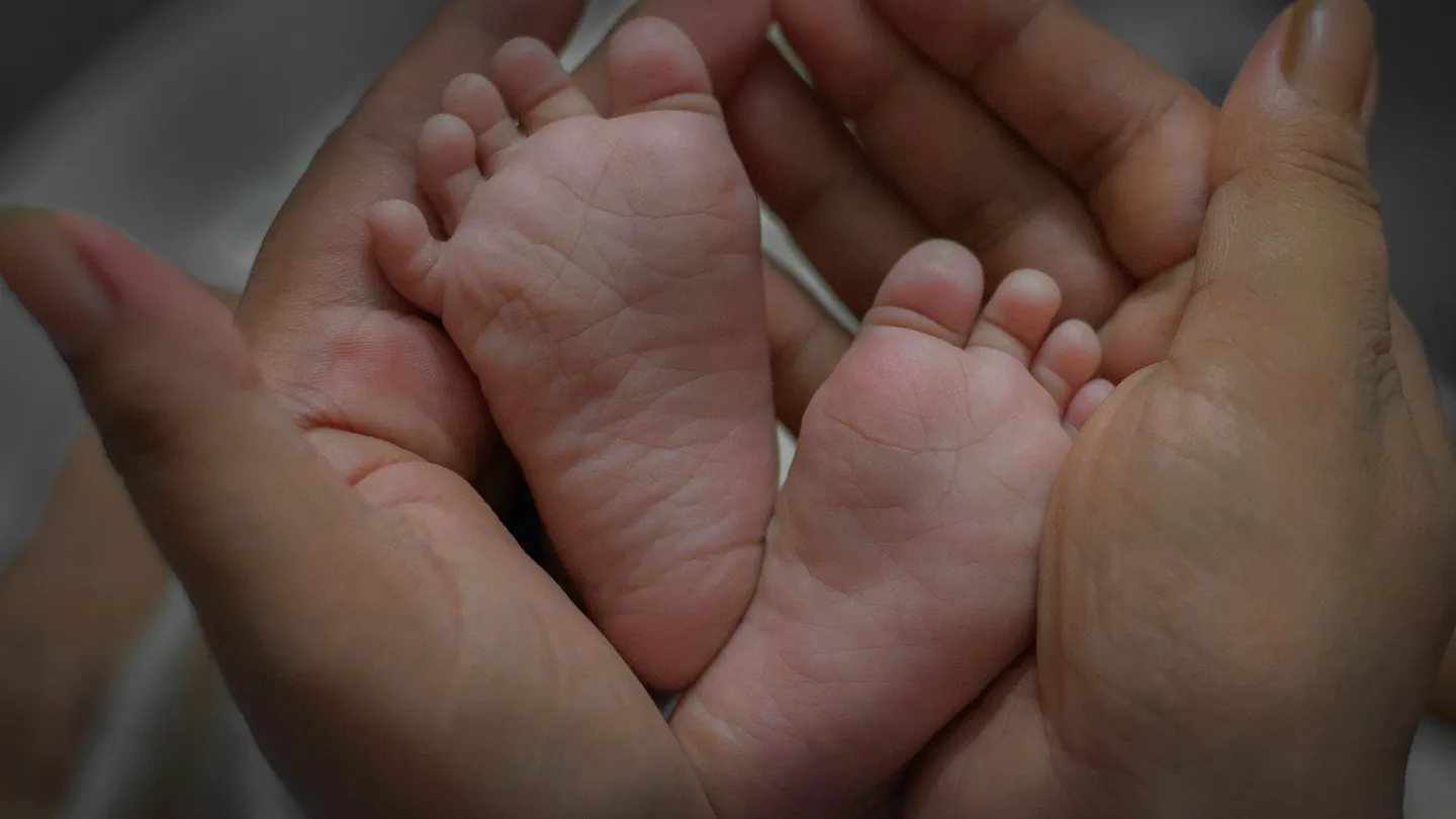 Радость материнства