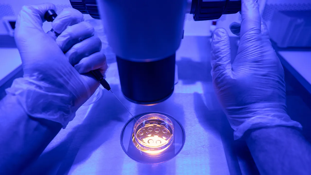 Использование донорской яйцеклетки