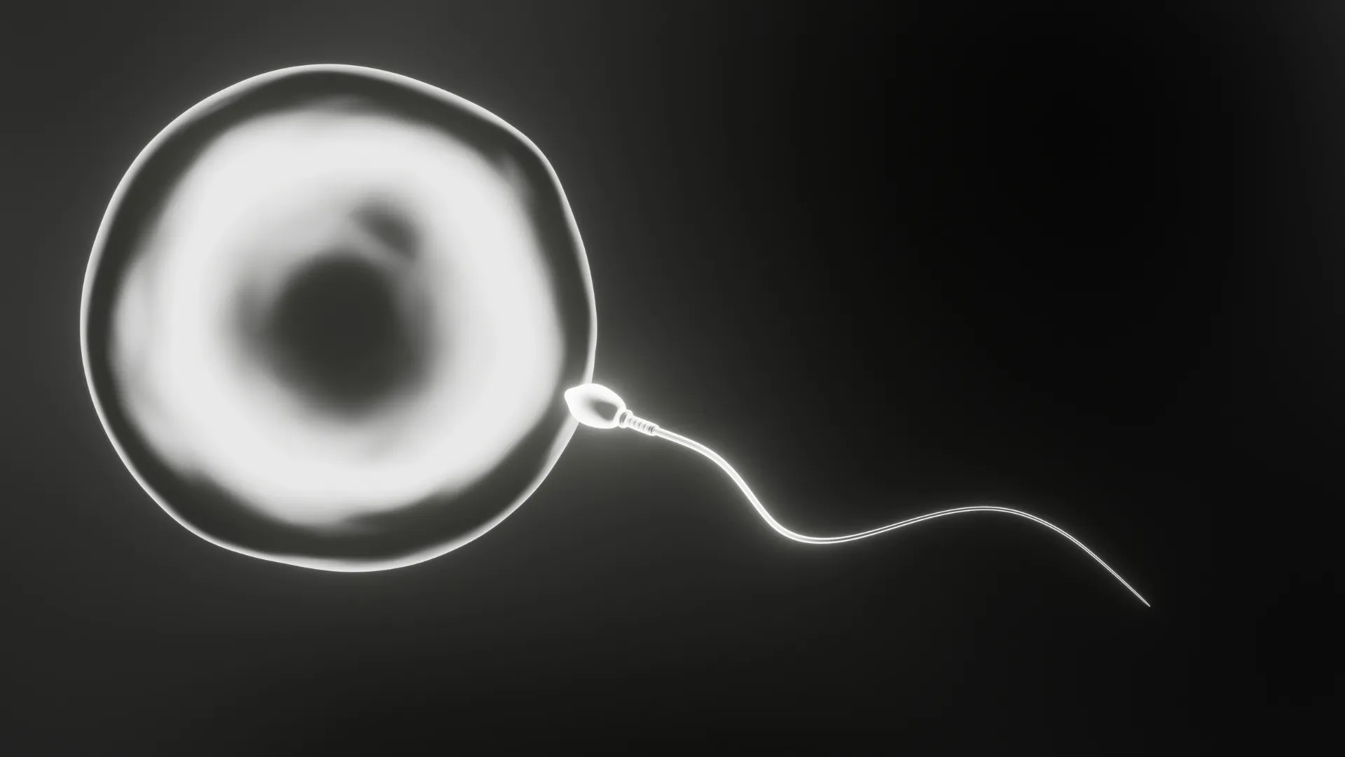 Овариальный резерв у женщин