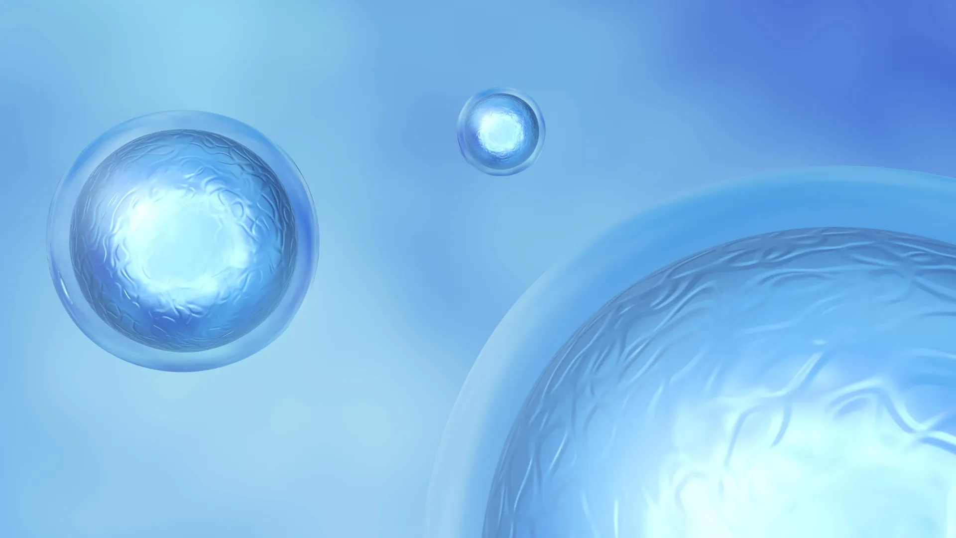 Овариальный резерв яичников