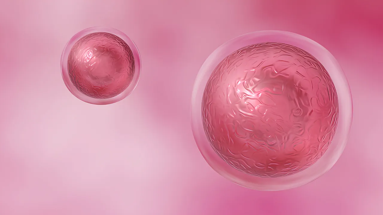 Условия для улучшения качества яйцеклеток после 40