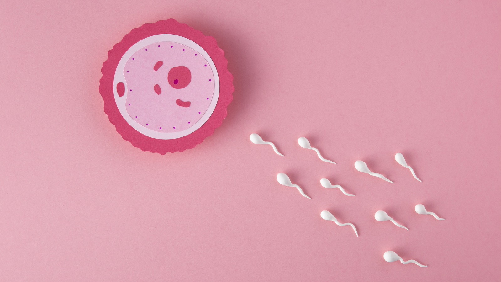 Синдром пустых фолликулов