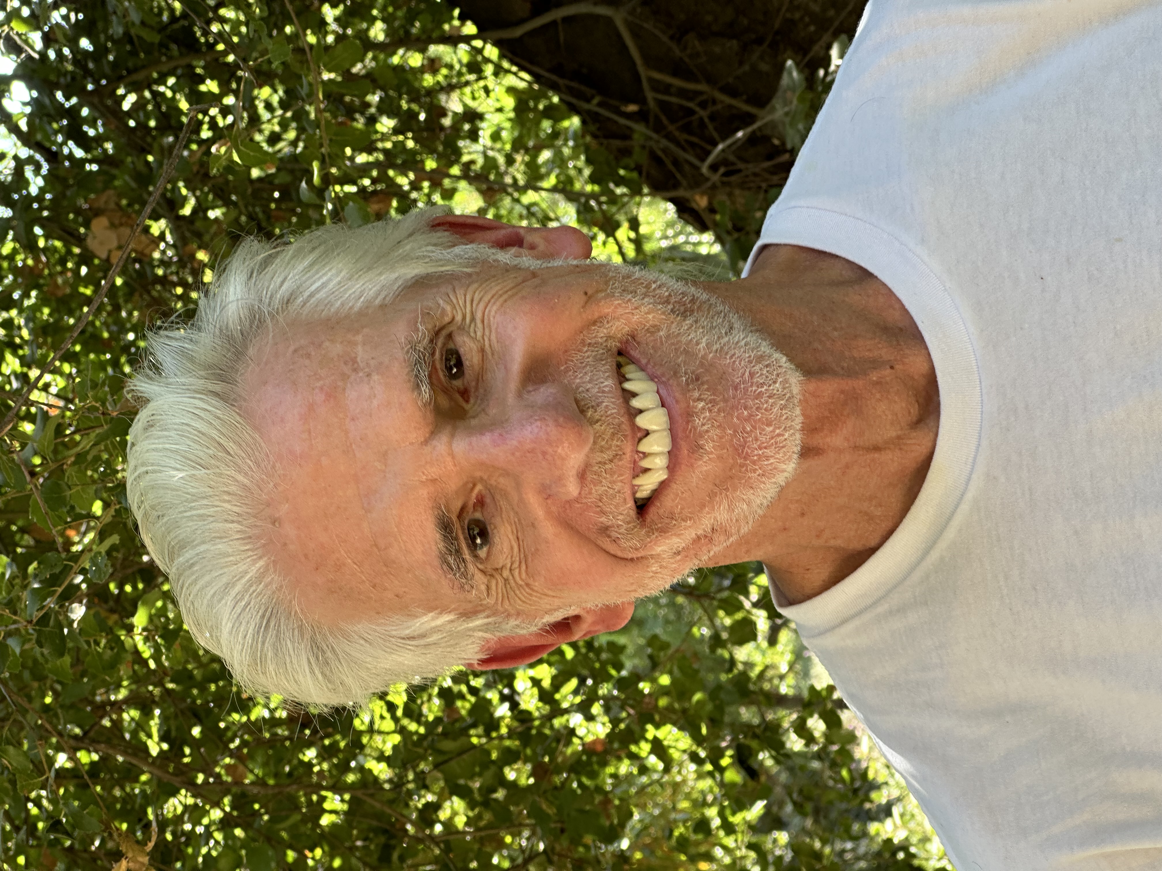 Tom Pollack