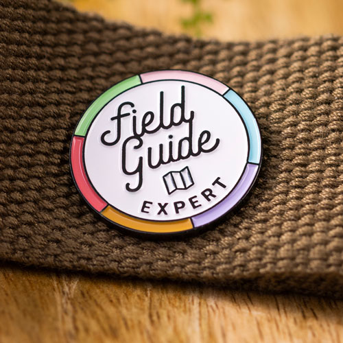 Custom Pins Now Soft Enamel Pins