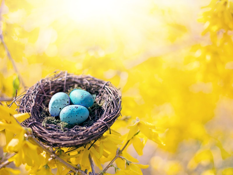 What’s the average thrift savings plan balance?