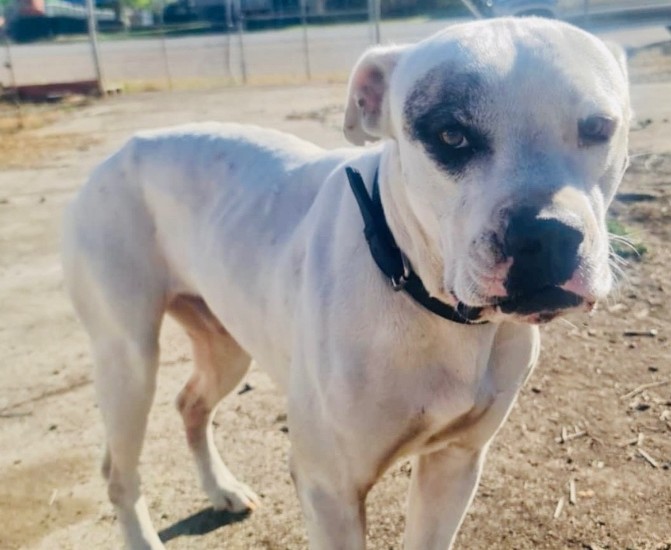 Abandoned But Not Broken Meet Patches