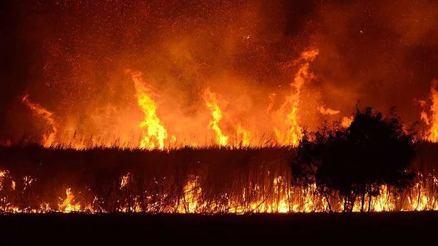 Planned Burns Blaze Past Annual Target