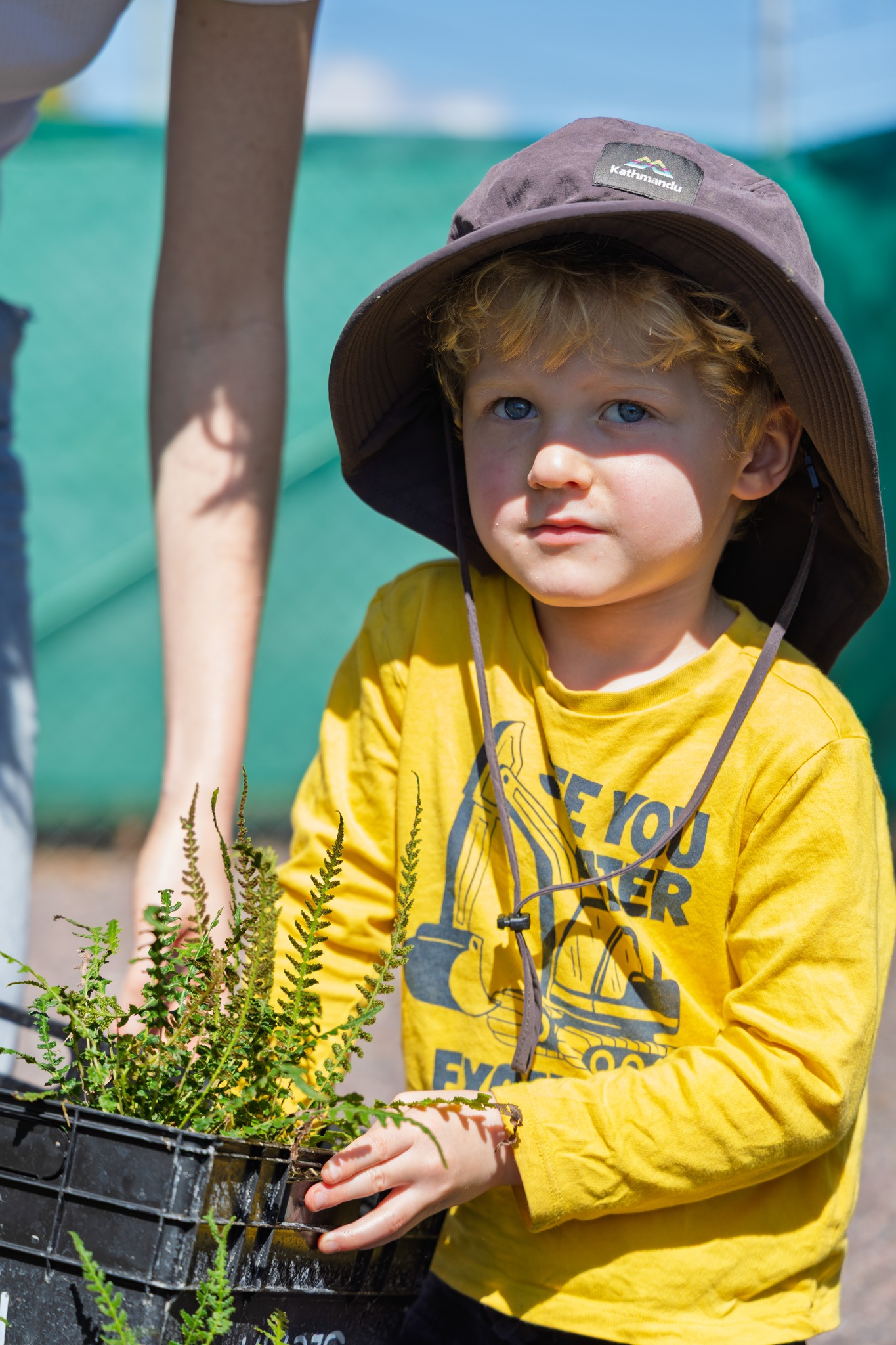 Sarina Residents Green Up Their Gardens