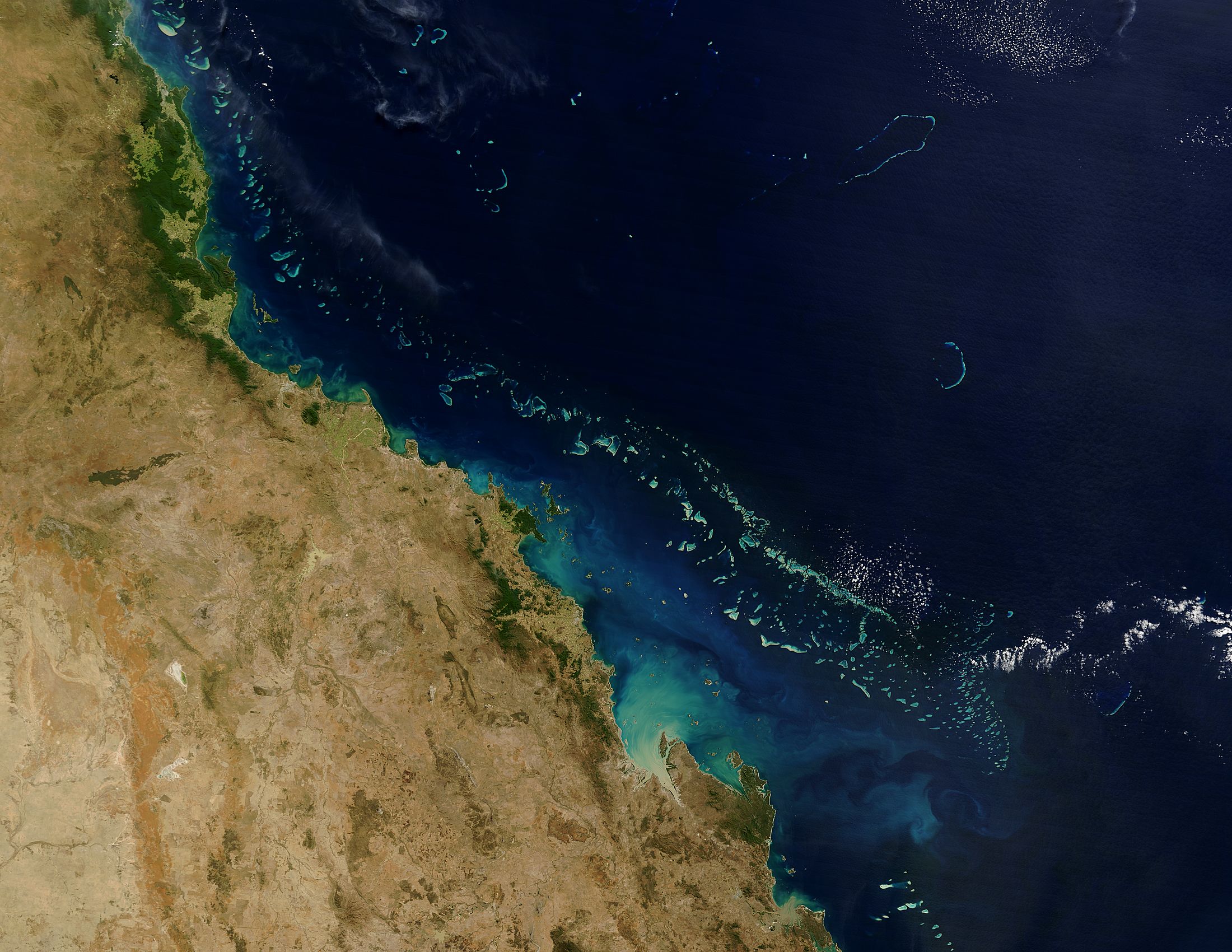 There Is More To The Great Barrier Reef Than Meets The Eye