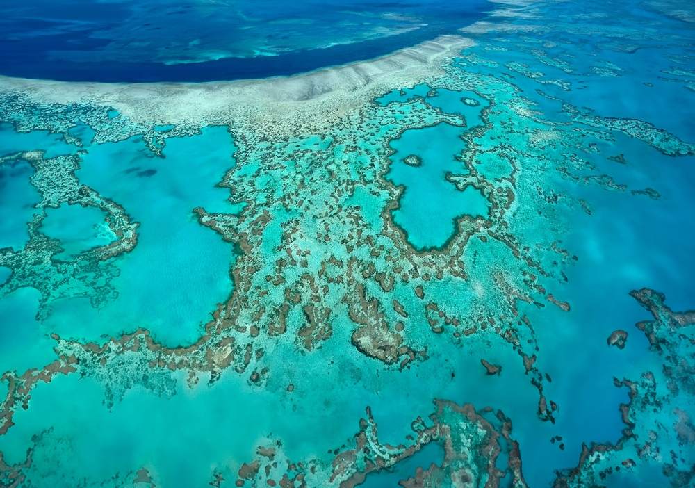 QTIC Unveils Bold Plans to Boost Queensland Tourism Ahead of Brisbane 2032