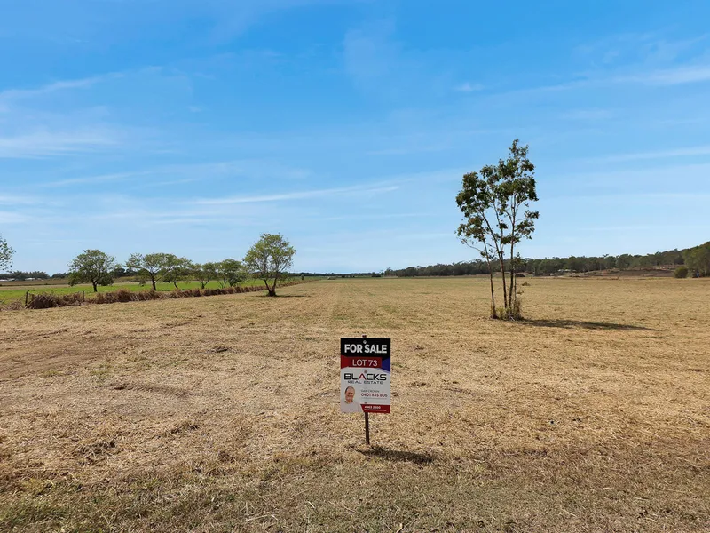 KELLYS ROAD AND BOLD STREET LOTS, WALKERSTON, QLD 4751