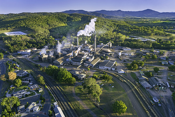 Industry Voices Differ Over Sugar Marketing And Governance Changes