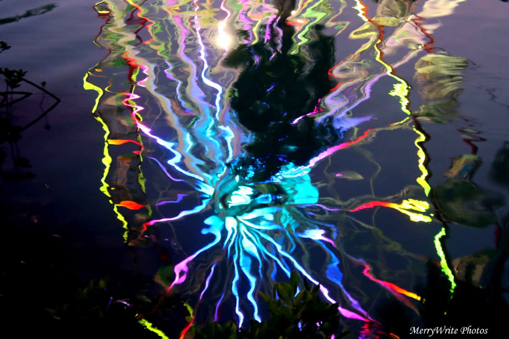 Photo Of The Week 19 December