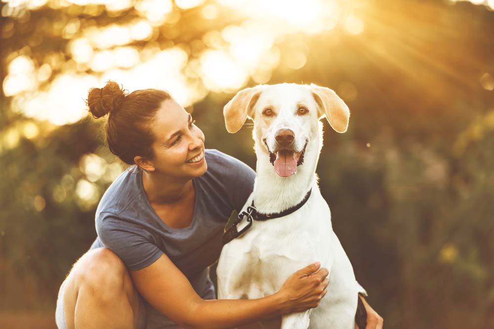 Foster Carers Needed