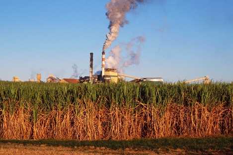 Biofuels Push Could Unlock New Future For Mackay Cane Industry