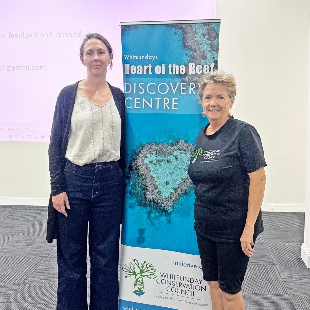 Uncovering The Heart Of The Reef