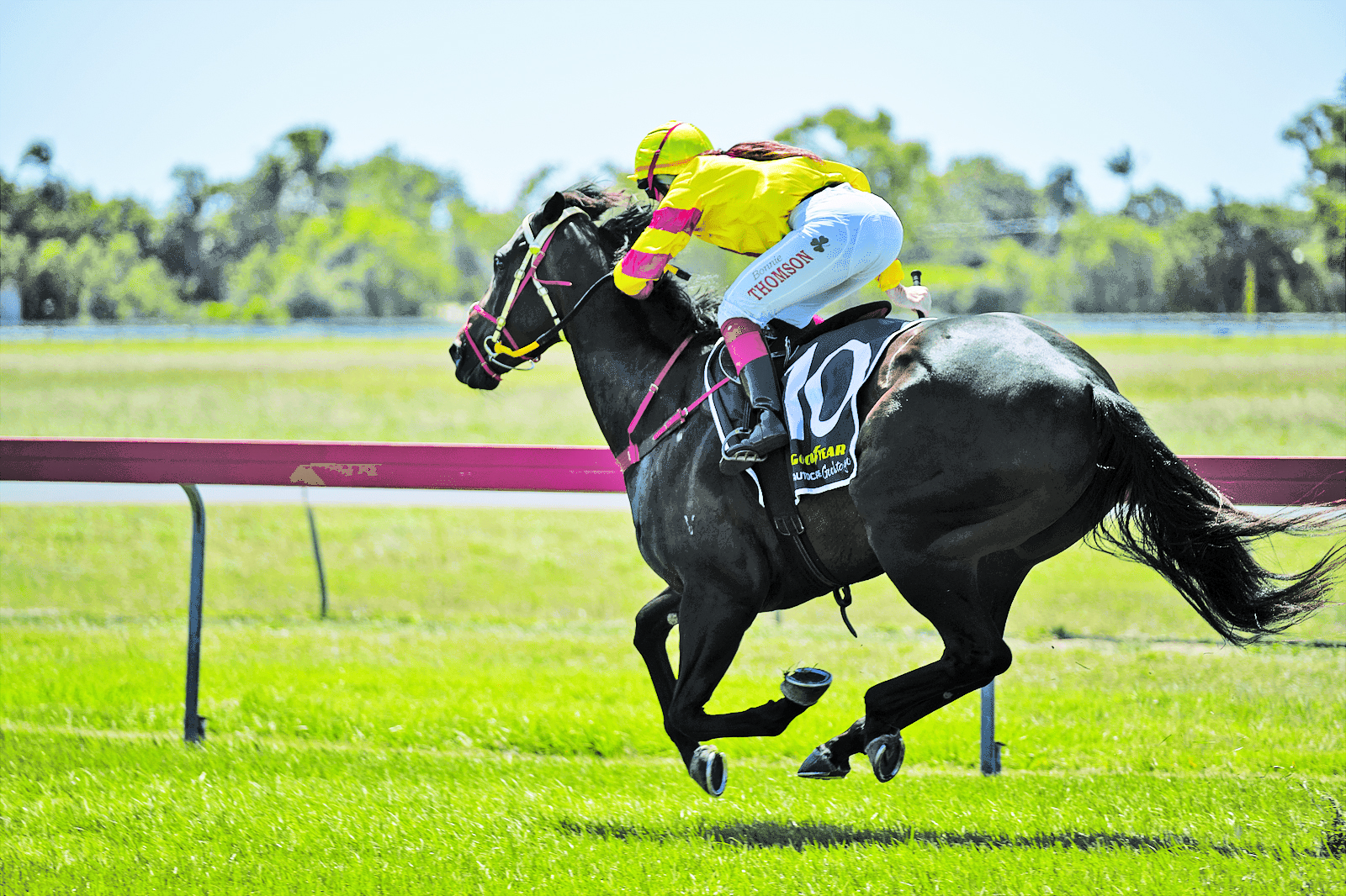 Bowen Turf Club Set for Much-Needed Upgrade 