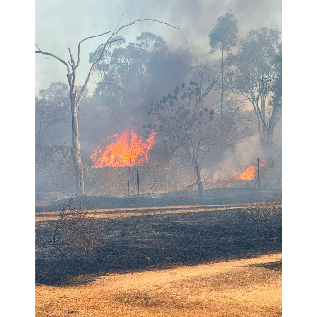 Firies Halt Blaze on Collinsville’s Edge 