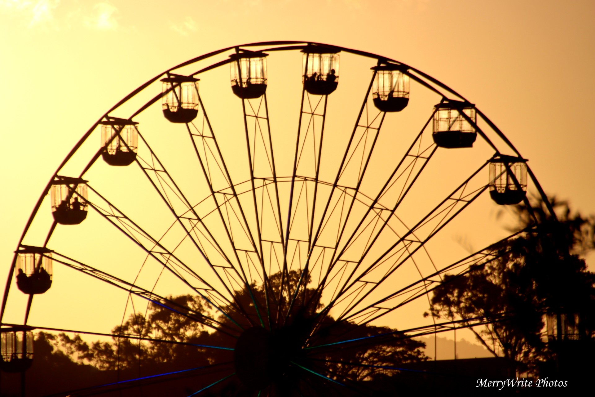 Photo of the Week