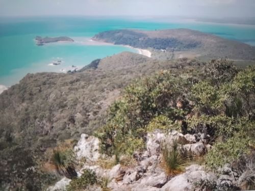 Bushwalkers Explore Cascade Creek