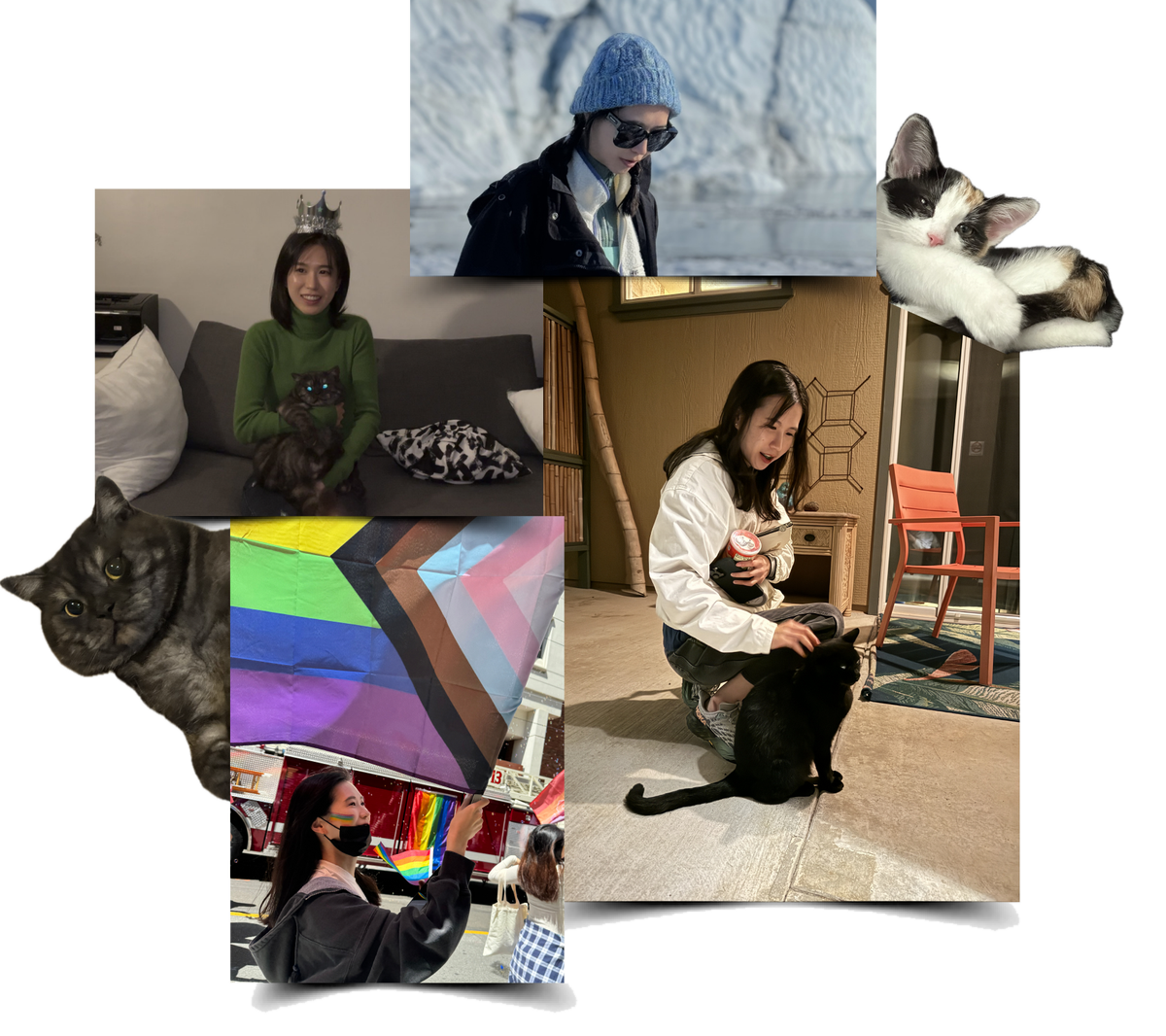 Jingyi off the clock: skiing, cats, pride, and photography