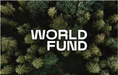 World Fund