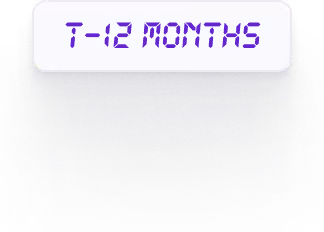 T minus 12 months