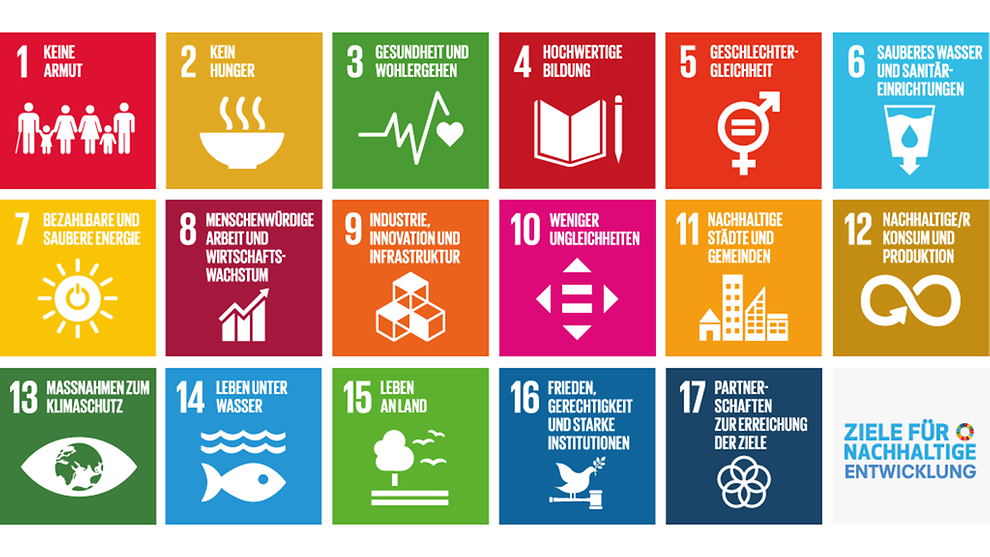 UN 17 SDGs