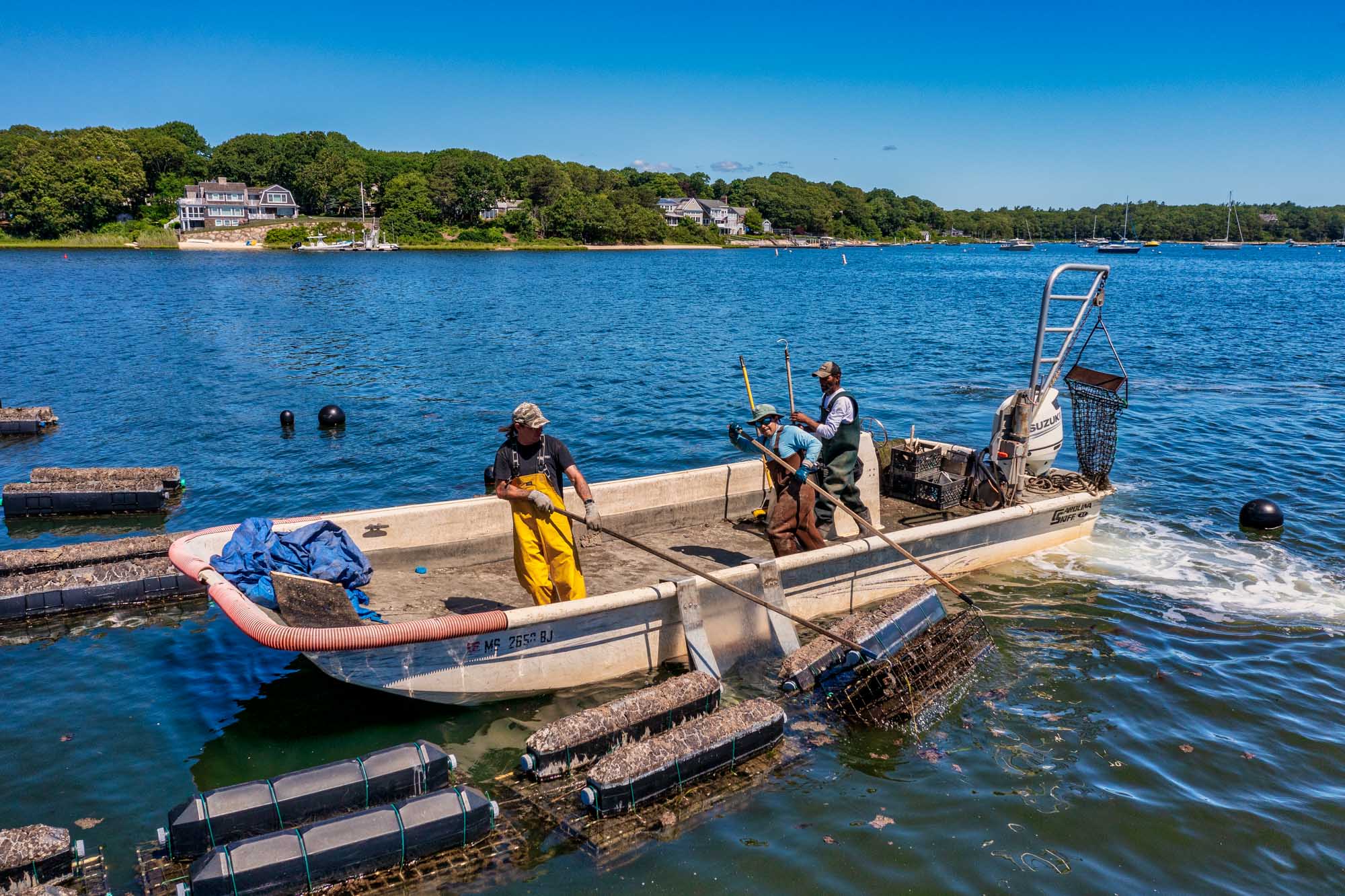 Cape Cod Oyster Company photo