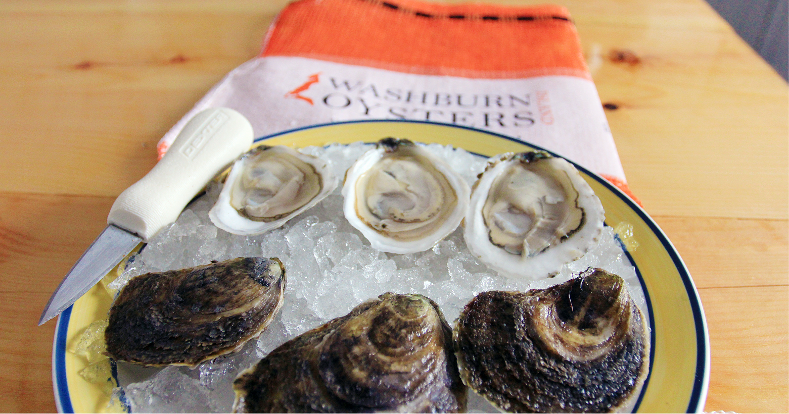 Washburn Island Oysters