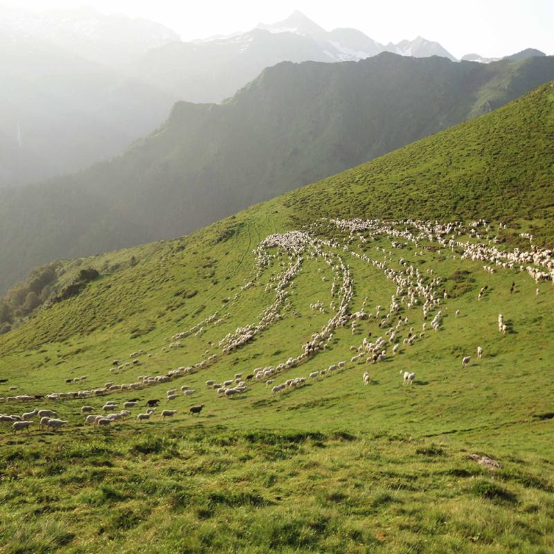 Crowdfarming Rabattcode im September 2024