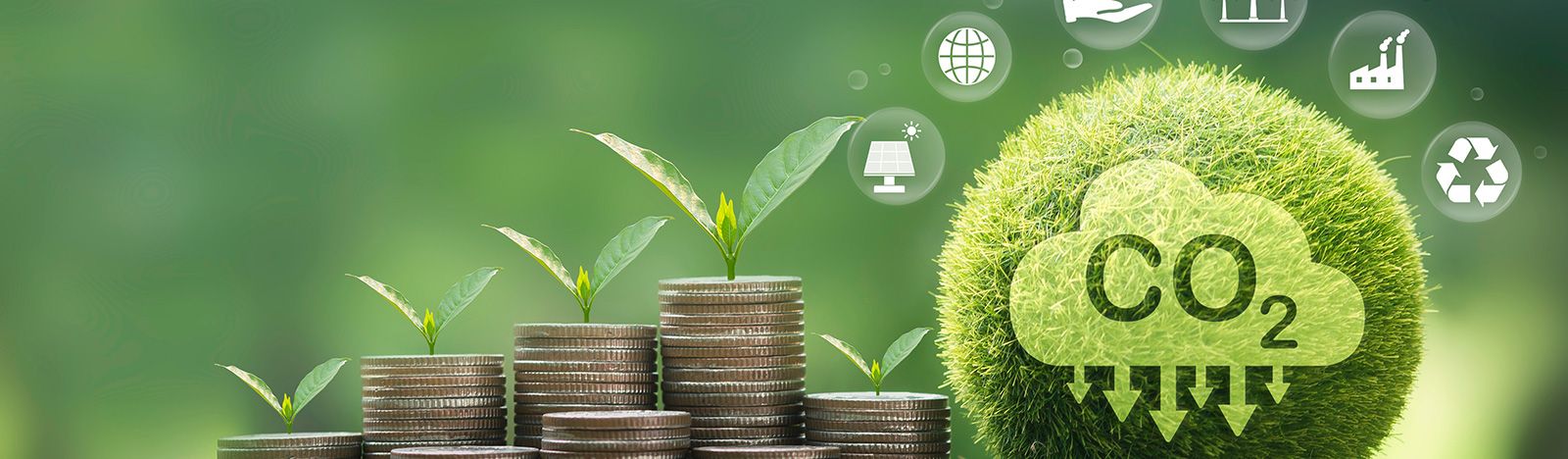 Carbon market initiatives: The who and the how
