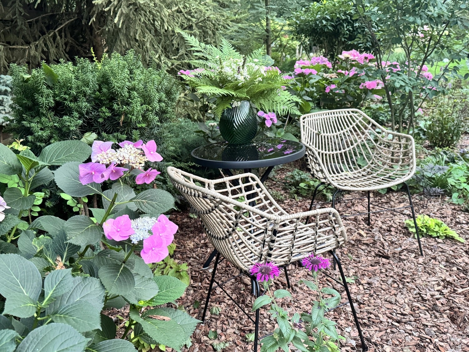 Зеленый забор фото