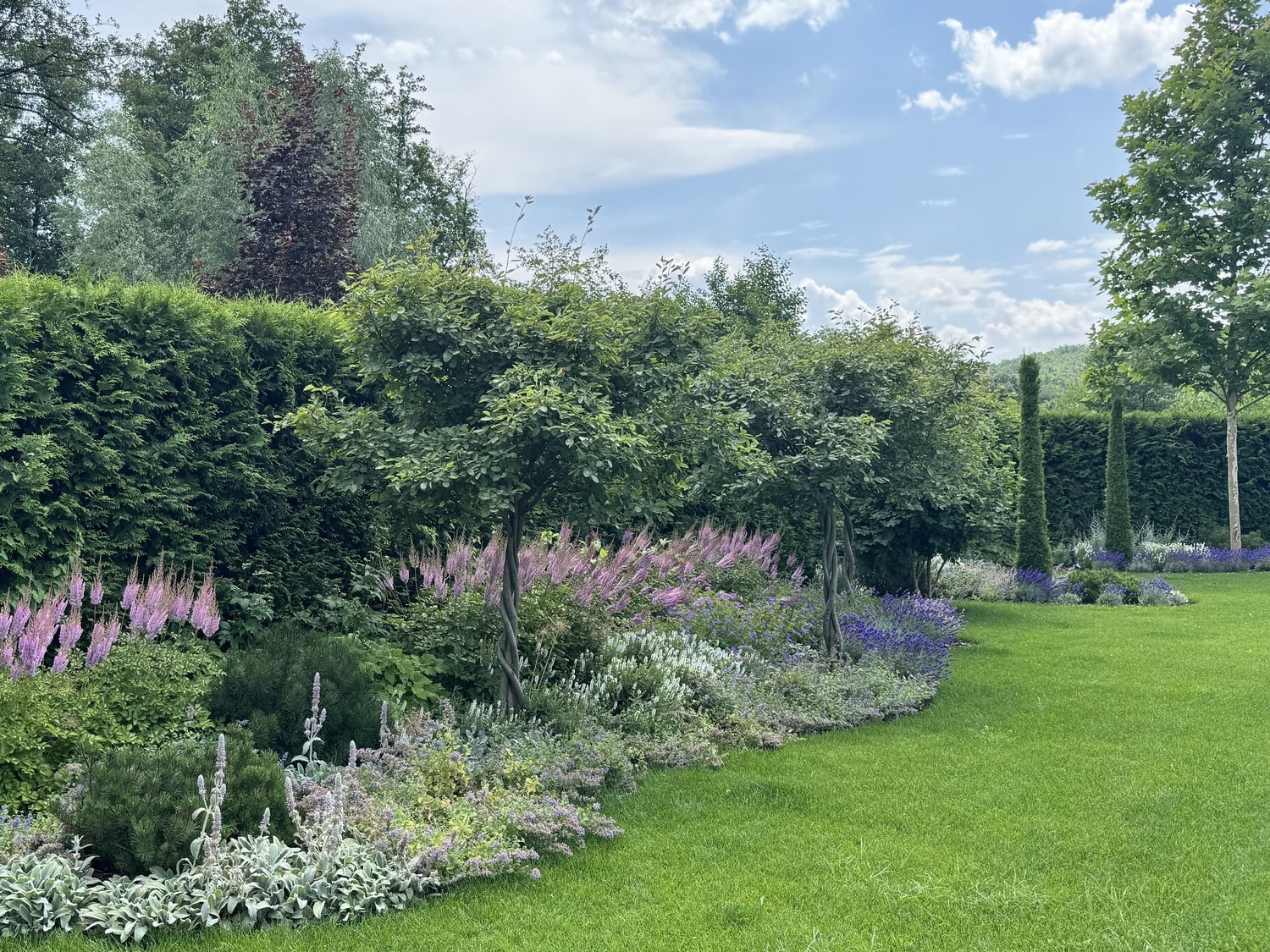 Рулонний газон під ключ