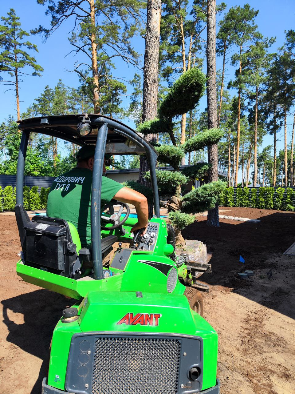 Ландшафтні роботи посадка рослин