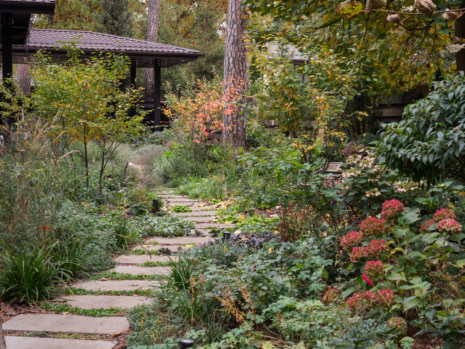 Сад в сосновом лесу